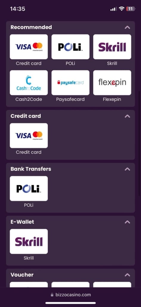 Bizzo Payments