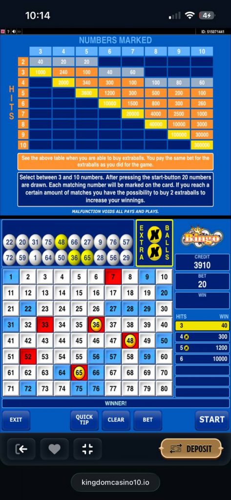 kingdom casino bingo bet 20