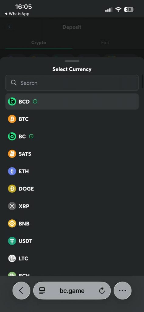 bcgame crypto cashier